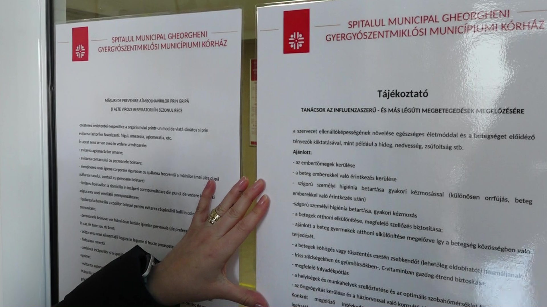 Barabás-Pál Hajnalka